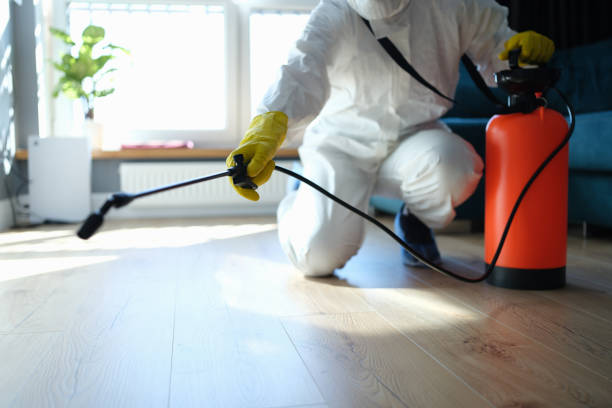 Reliable Sewage Cleanup contractor in Inverness, FL by Trauma Clean Pros